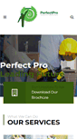 Mobile Screenshot of perfectpro-eg.com